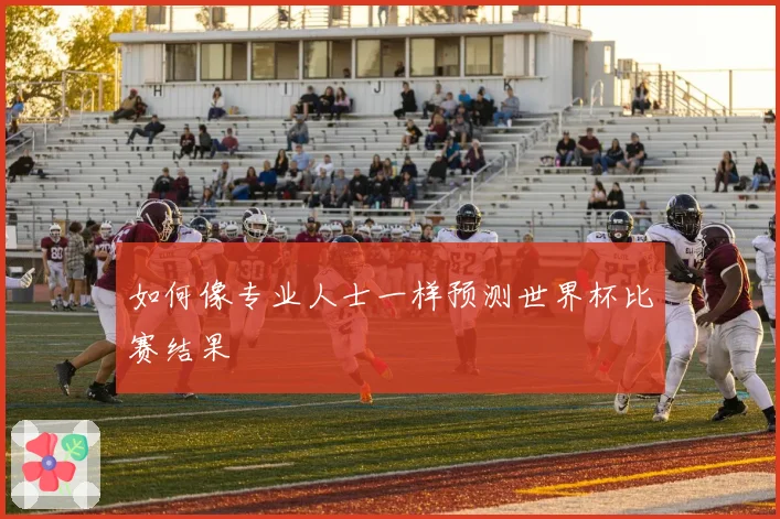 如何像专业人士一样预测世界杯比赛结果