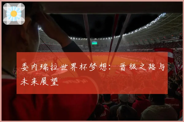 委内瑞拉世界杯梦想:晋级之路与未来展望